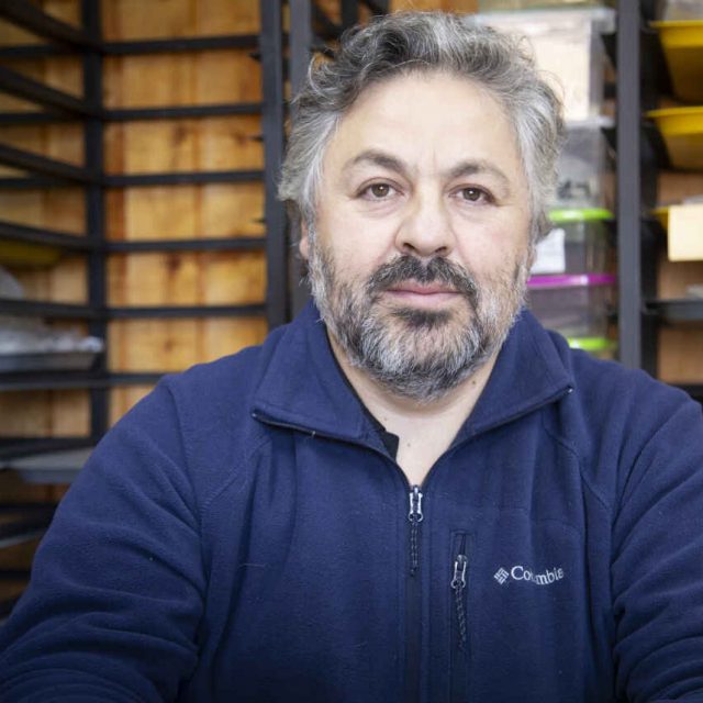 Dr. Manuel San Román